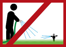 Lawn watering illustration