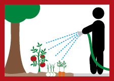 Tree and food garden watering illustration