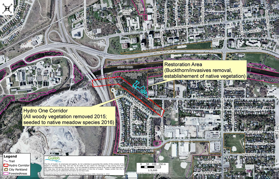 Map showing area of restoration work in relation to surrounding features (park, streets); 0.36 hectare area located north of the trail in Silvercreek Park nearest the cul-de-sac at the west end of Water Street.