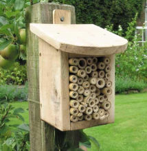 insect shelter