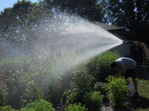 resident using a hose to water their garden