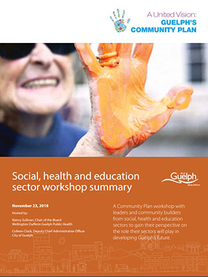 social, health and education sector workshop summary