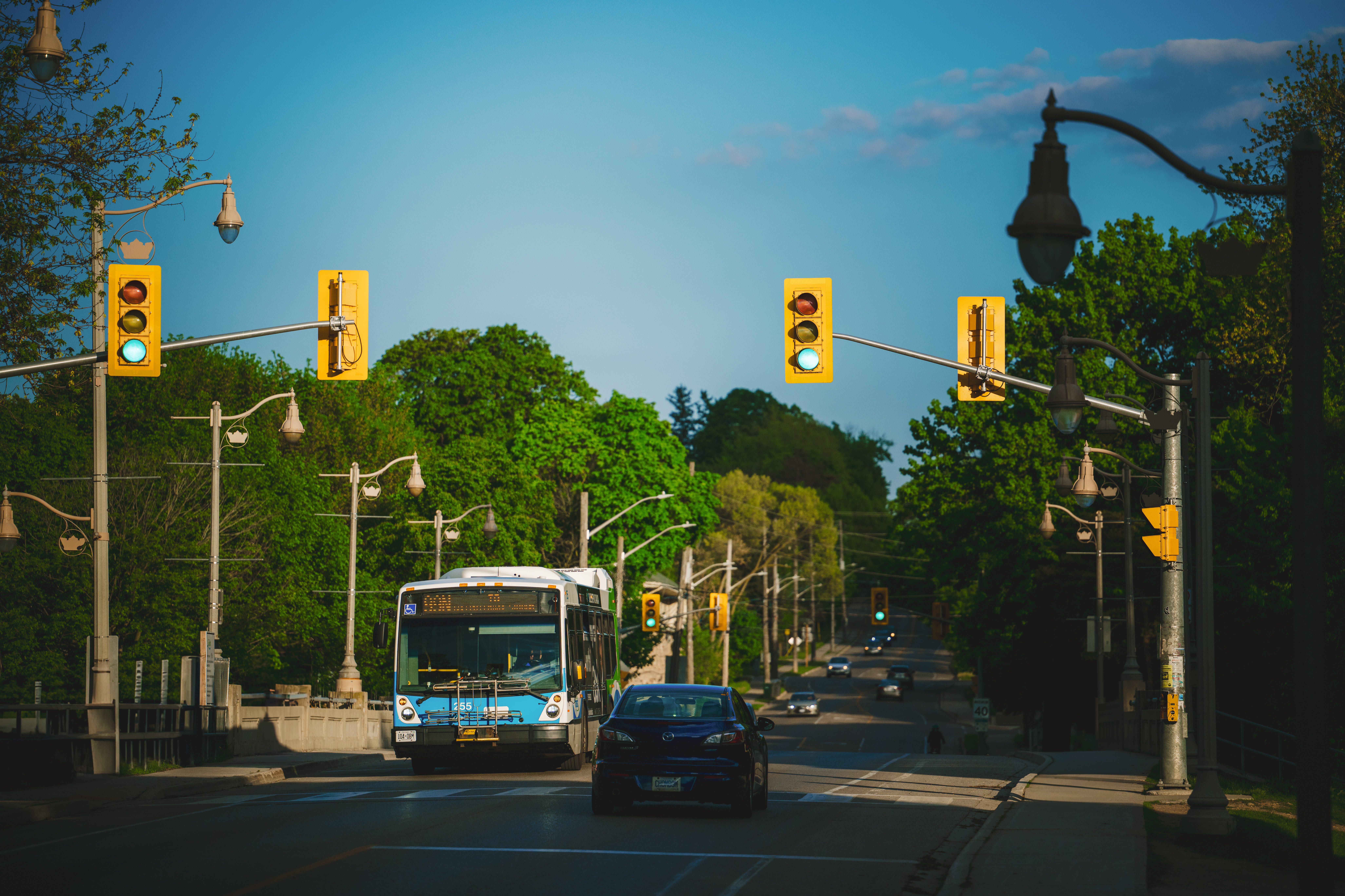 Image is of a Guelph road with cars and a city bus driving down it. 