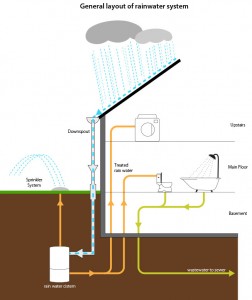 Downspouts carry rainwater to an underground cistern. Pipes run from the cistern to the toilet, clothes washer and outdoor irrigation system. 
