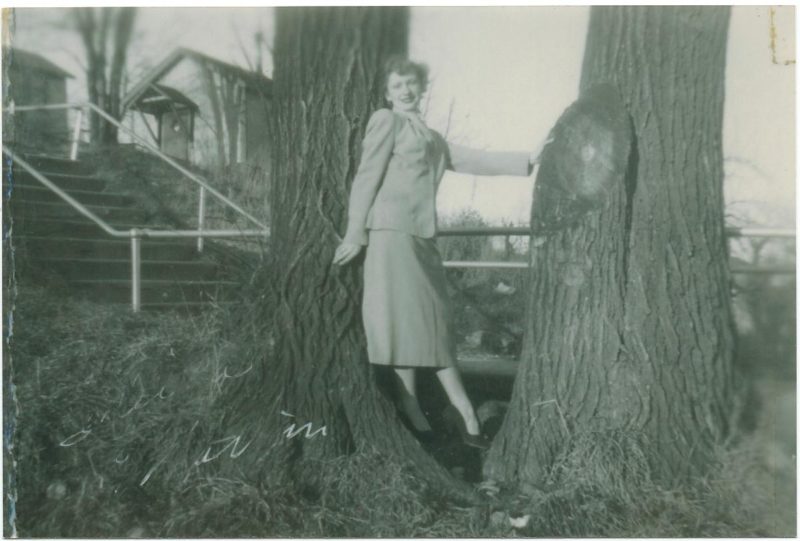 In an old black and white photograph, a woman in a dress poses in between two large trees along a walkway.