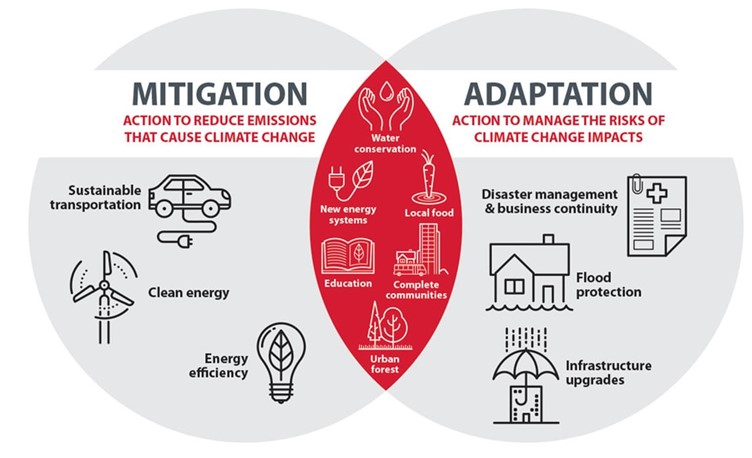 Adaptation Strategy and Action Plan