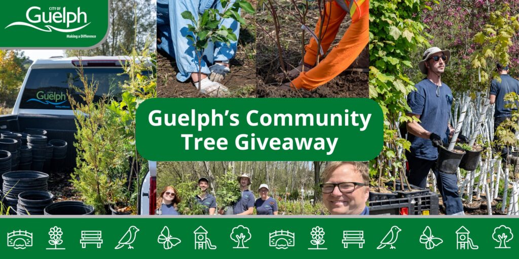 Guelph's Community Tree Giveaway. Collage of photos from Guelph tree giveaway and planting events.