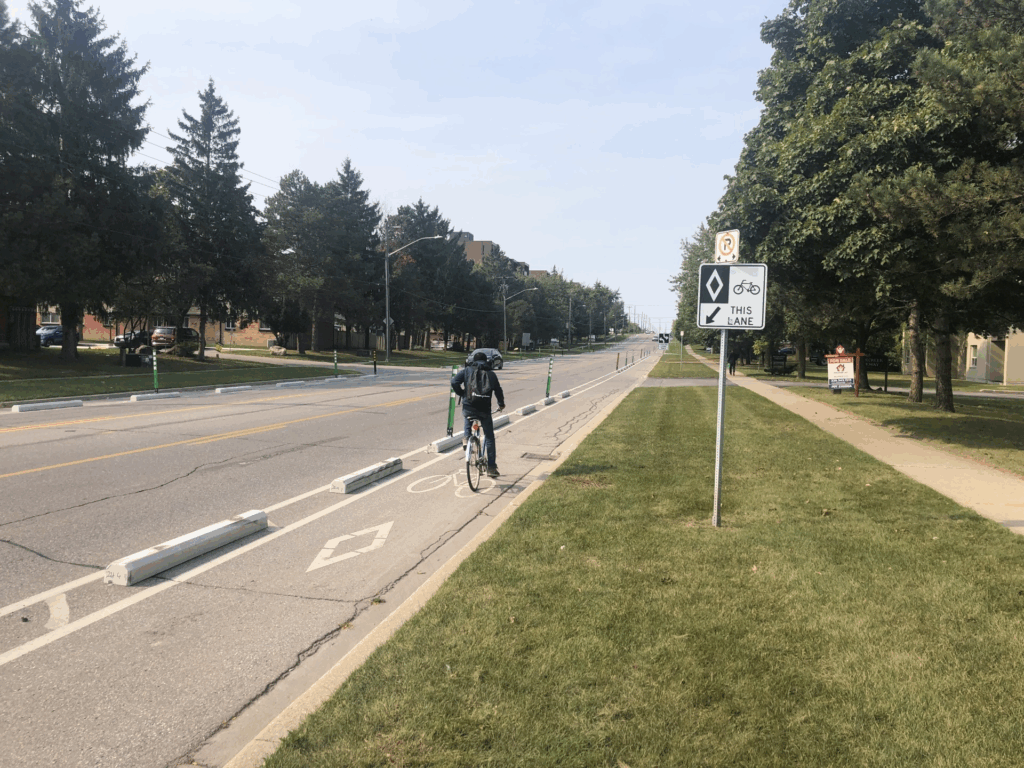 Image of a cyclist within a protected bike lane.
