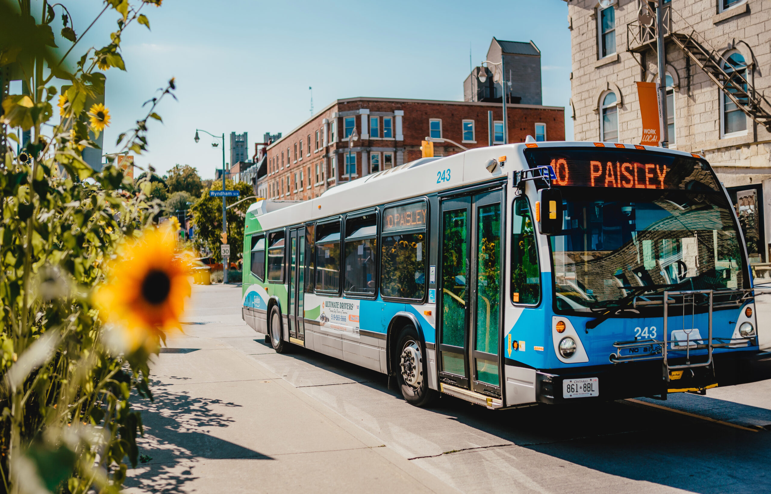 A city of Guelph bus driving through downtown Guelph in the spring.