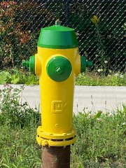 Freshly painted fire hydrant, yellow body with green top and sides.