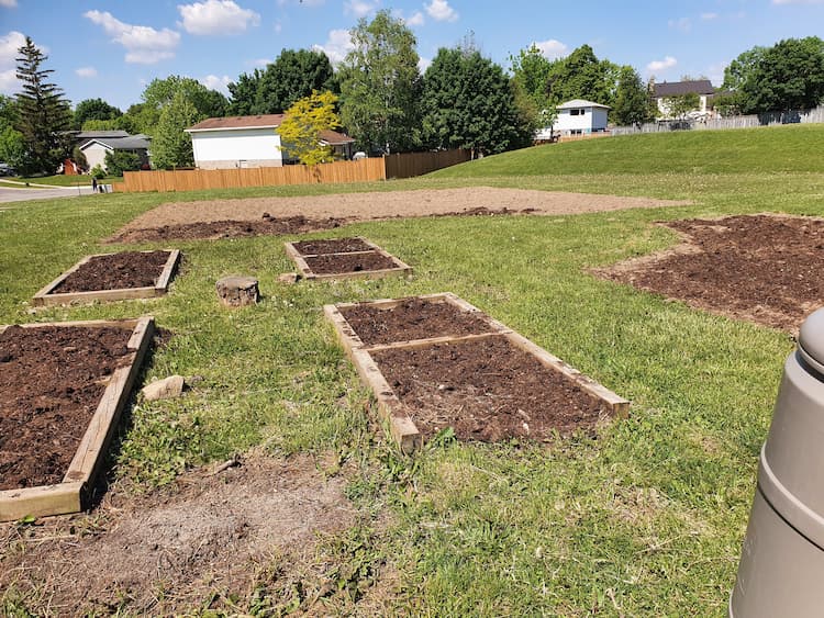 A view of the Gateway garden space before it was planted. 4 wood lined rectangular garden beds fille dwith soild are visible as well as a large square area of tilled soil ready for plantin