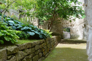 Plants and trees behind a stone wall at the Goldie Mill Ruins