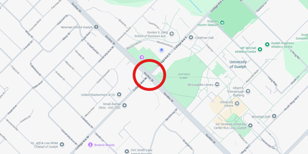 a map of guelph. There is a red star in the intersection where the construction is happening. There is a yellow line beginning on Stone Road East continuing down Edinburgh Road South. Then going to Wellington Street West. That is the detour for the construction zone. 