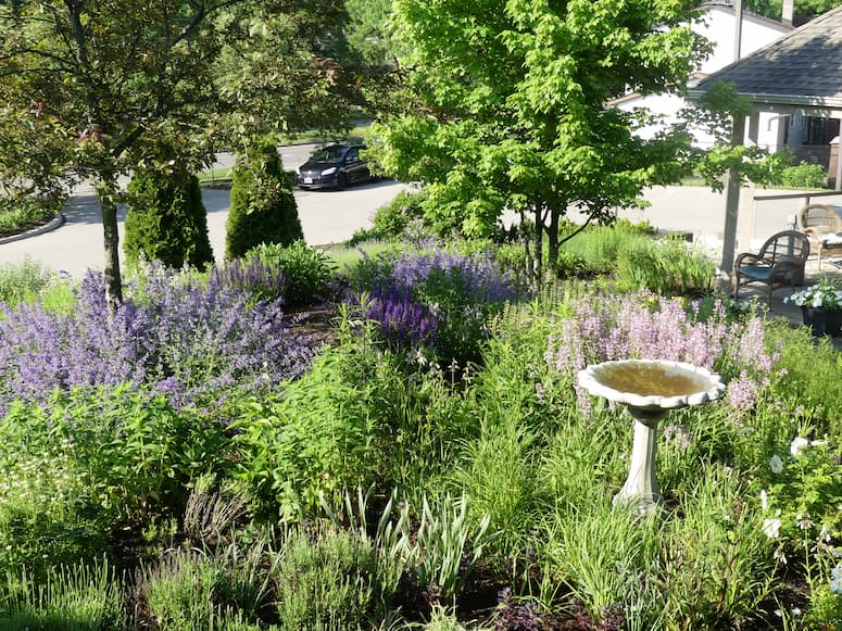 A view of a small garden area with a varity of purple flowers in the foreground surrounding a stone bird bath. In the background a seating area with chairs is visible as well as some trees and a parking lot.