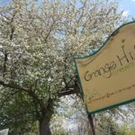 A large wooden sign that says Grange Hill Community Garden with smaller unreadable text in the bottom of the sign. A tree with white flowers is behind the sign.