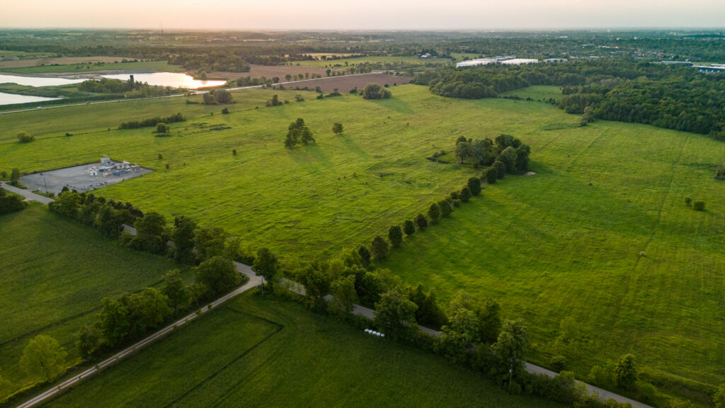 an image of a large expanse of green field 
