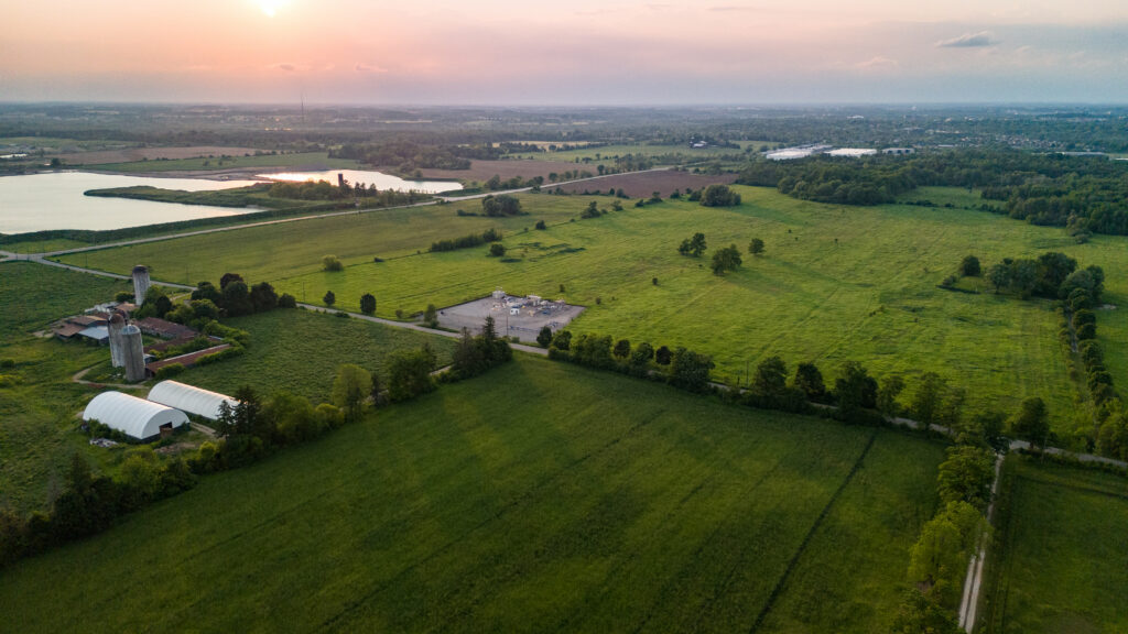 An aerial view of lush green field 