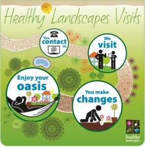 Healthy Landscapes visits - You contact us, we visit, you make changes, enjoy your oasis.