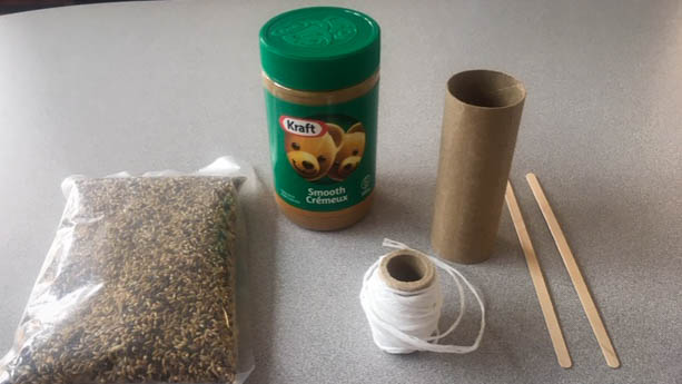 Supplies required to make the bird feeder
