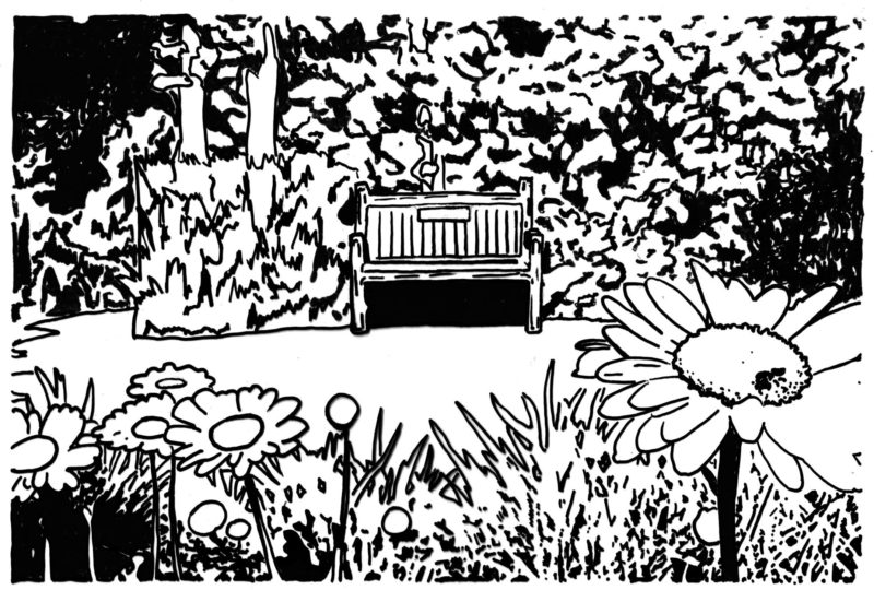 A black and white drawing of a park setting with a bench that has a plaque on it in the middle.