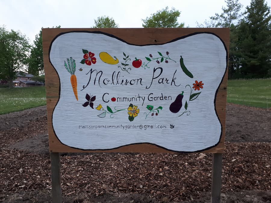 A painted sign that shows vegetables growing and read "Mollison Park Community Garden mollisonparkcommunitygarden@gmail.com"