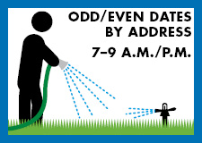 Lawn watering illustration
