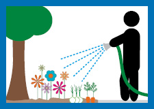 Garden and tree watering illustration