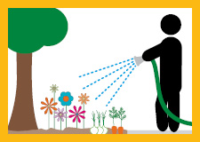 Garden and tree watering illustration