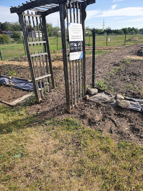 A wooden arbour marks the entrance to the garden. Rectangular in-ground plots are visible with mulch pathways that run in between.