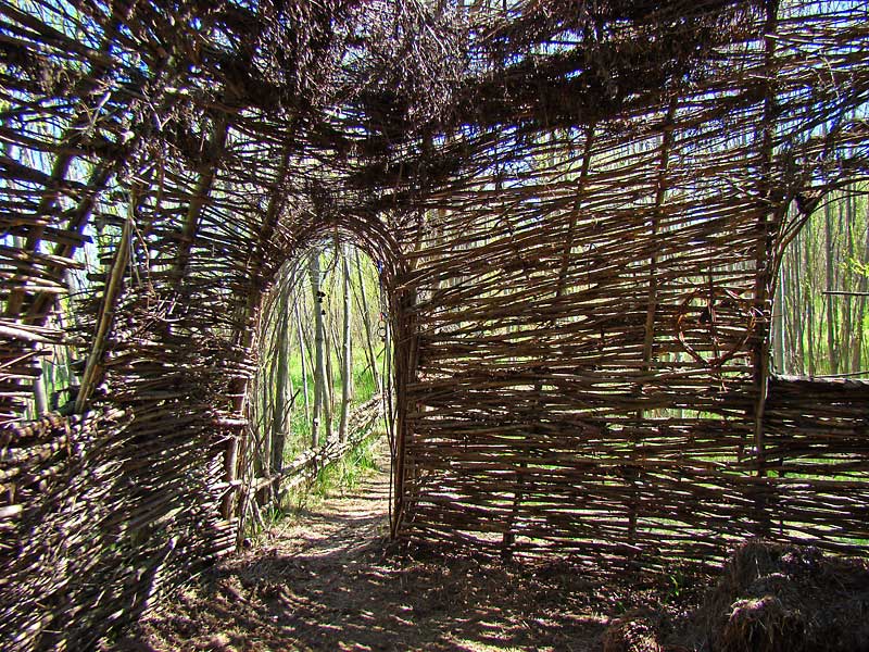 A colour photograph of an outdoor shelter made of sticks in a wooded setting. There is a small door and window.