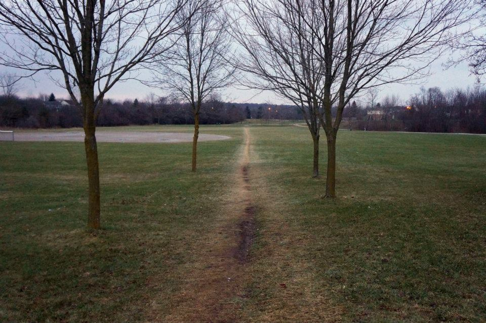 Worn grass path going between four trees