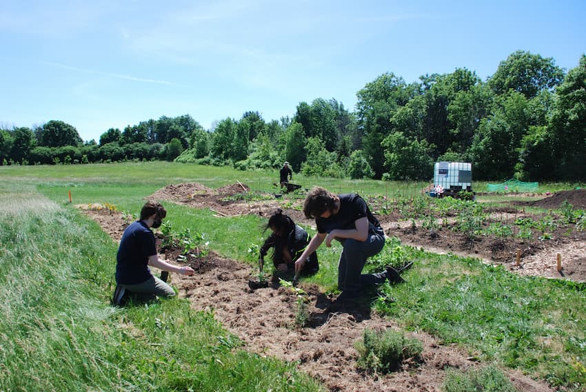 a group of gardeners kneel around planting an in-ground bed . Further garden beds , a water storage container and a man with a wheelbarrow can be seen in the background.