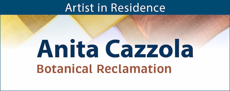 Artist in Resident Anita Cazzola - Botanical Reclamation