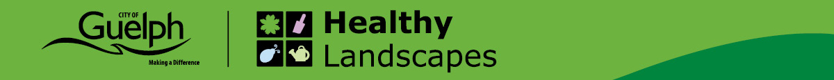 A green banner with the City of Guelph logo and the Healthy Landscapes icons and text.