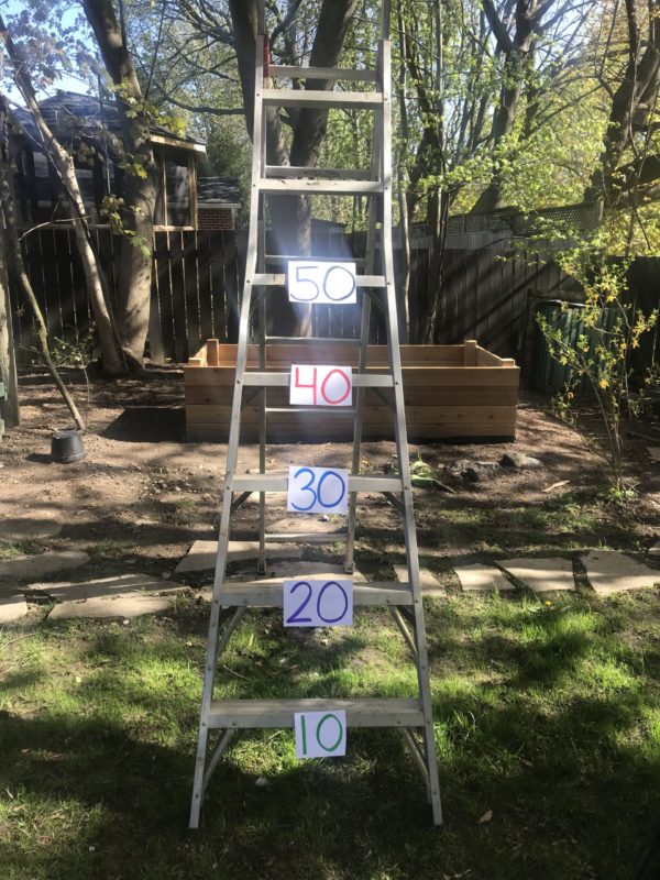 step ladder with numbered steps