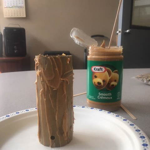 peanut butter spread on the toilet paper roll