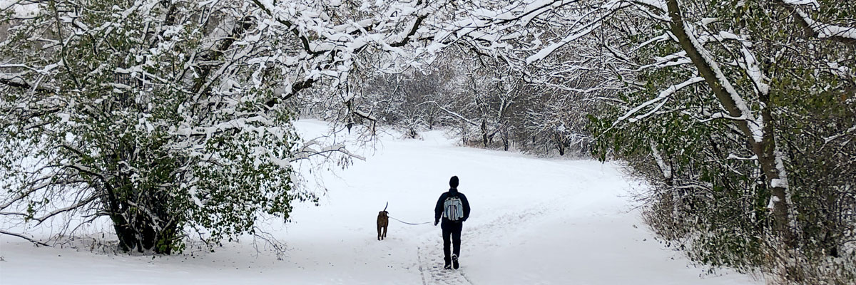 Dog and man walking on a snowy trail in University Village Park