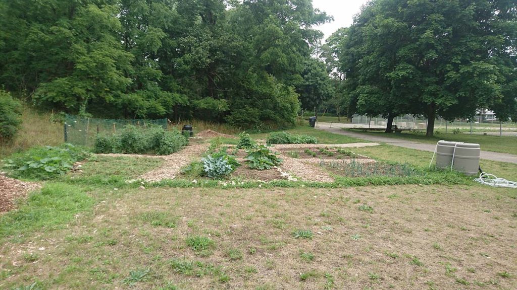 garden plots and a couple of composters