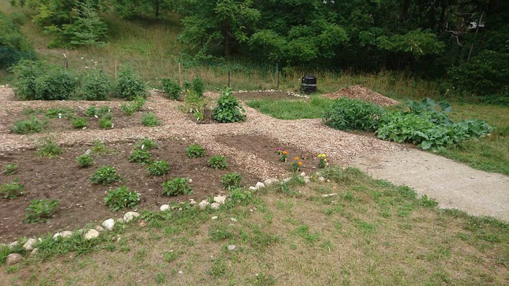 garden plots with flowers and greens