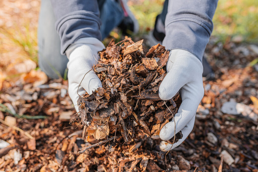 Hands in gardening gloves are sorting through the chopped wood of the trees.