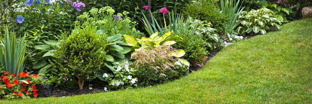 Lawn and garden - City of Guelph