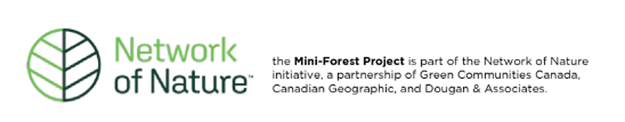 Network of Nature logo: The Mini-Forest project is part of the Network of Nature initiative, a partnership of Green Communities Canada, Canadian Geographic and Dougan & Associates