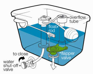 This image shows the inside of a toilet tank, including the flapper at the bottom of the tank and the overflow tube (a hollow upright cylinder with an opening at the top).